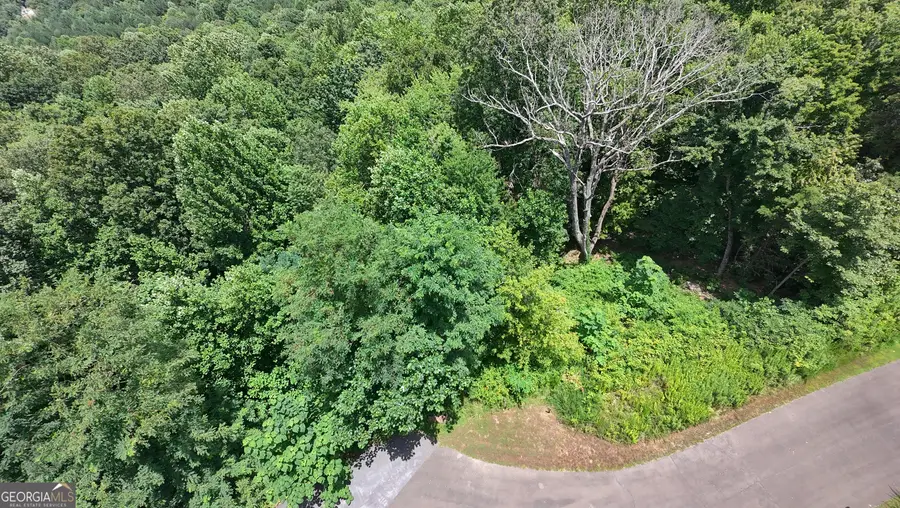 260 Running Bear Lane #14, Ellijay, GA 30536 - #2