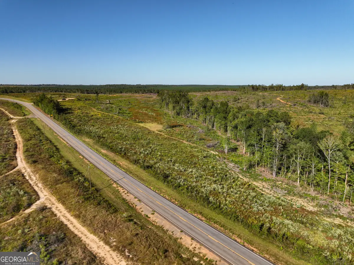 0 Hwy 112 #LOT WP001, Toomsboro, GA 31090 - Image #1