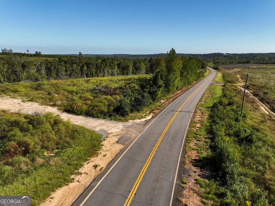0 Hwy 112 #LOT WP001, Toomsboro, GA 31090 - Image #2