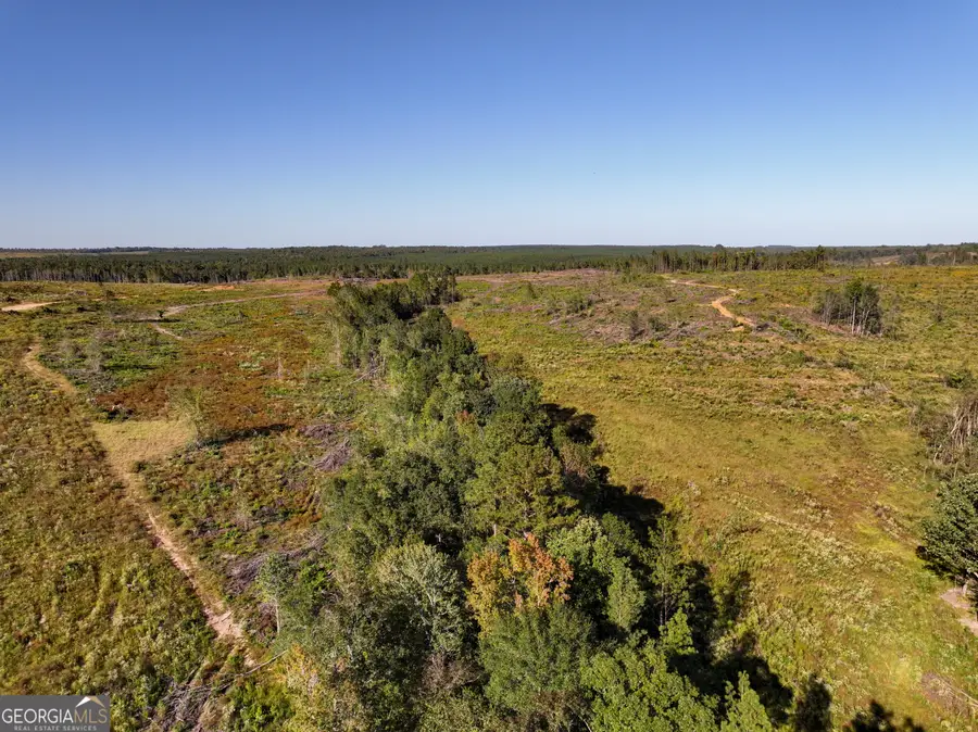 0 Hwy 112 #LOT WP001, Toomsboro, GA 31090 - Image #3