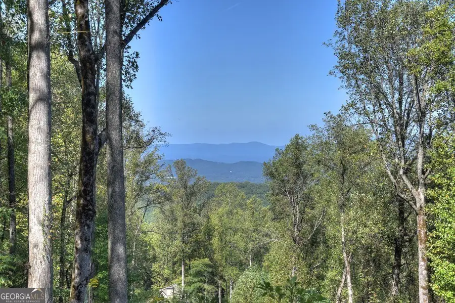 LT 296 Andes Ridge, Ellijay, GA 30536 - Image #3