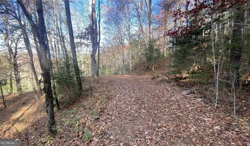 1 Barefoot Hills Road, Hiawassee, GA 30546 - Image #1