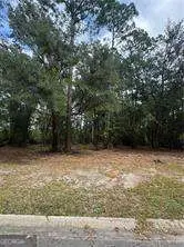 86 Marsh Creek Boulevard, Waverly, GA 31565 - Image #2