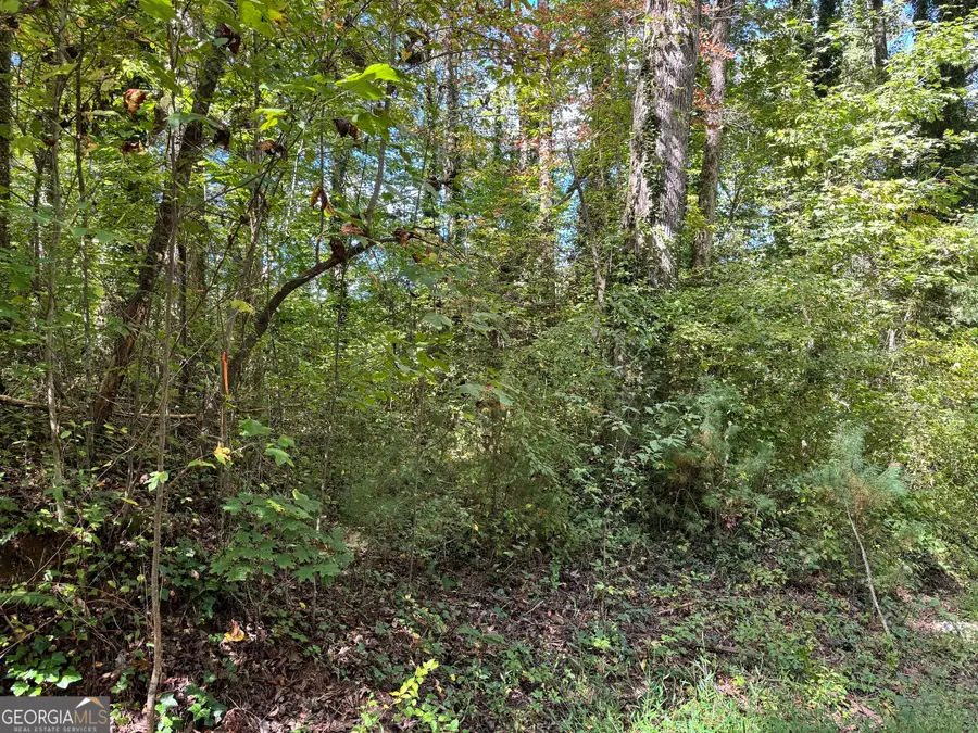 0 Post Oak #LOT 15, Clayton, GA 30525 - Image #2