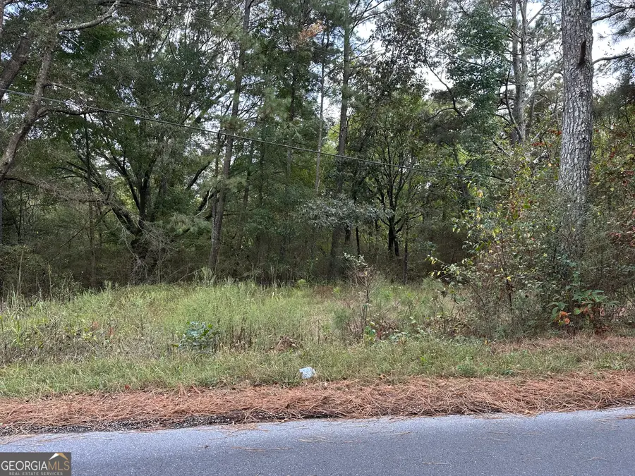 0 Hwy 101 And Dean Road, Aragon, GA 30104 - Image #3