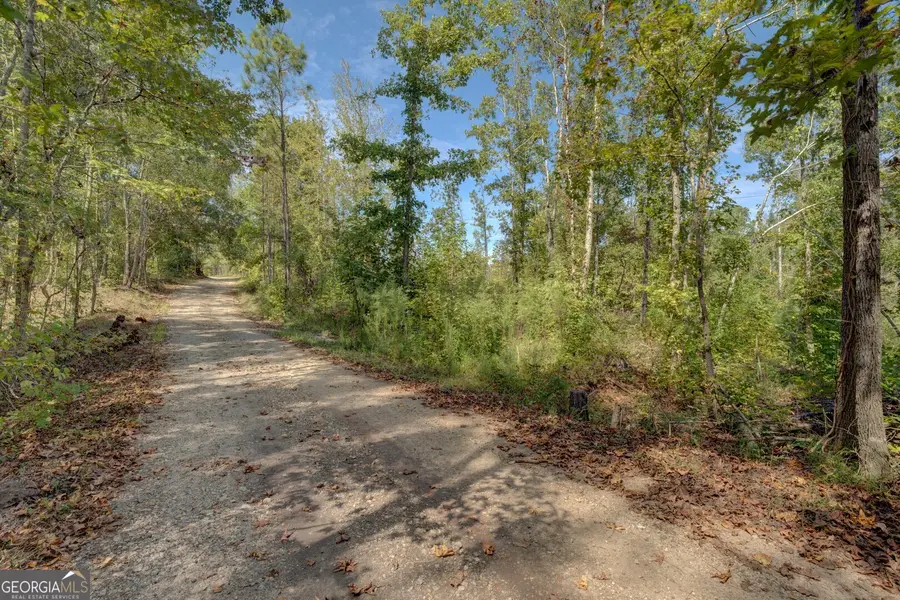 0 Rocky Creek Road, Mansfield, GA 30055 - Image #2