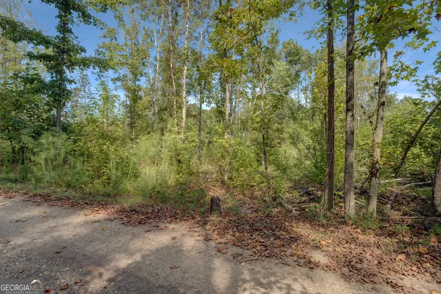 0 Rocky Creek Road, Mansfield, GA 30055 - Image #3