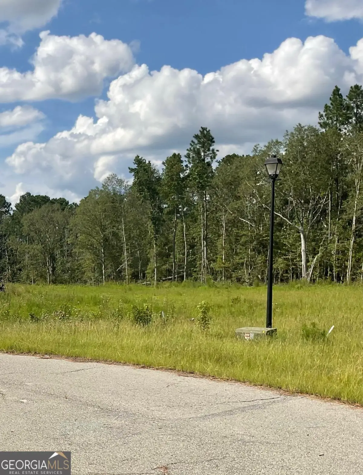 0 Lots 9 & 10 Hidden Hills, Vidalia, GA 30474 - Image #1