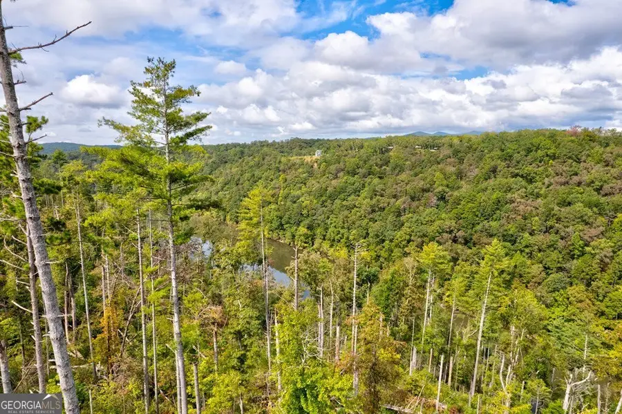 LT 930 Myna Drive, Ellijay, GA 30540 - Image #3