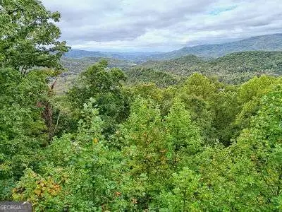 LOT 5 Skyview Drive, Hayesville, NC 28904 - Image #2