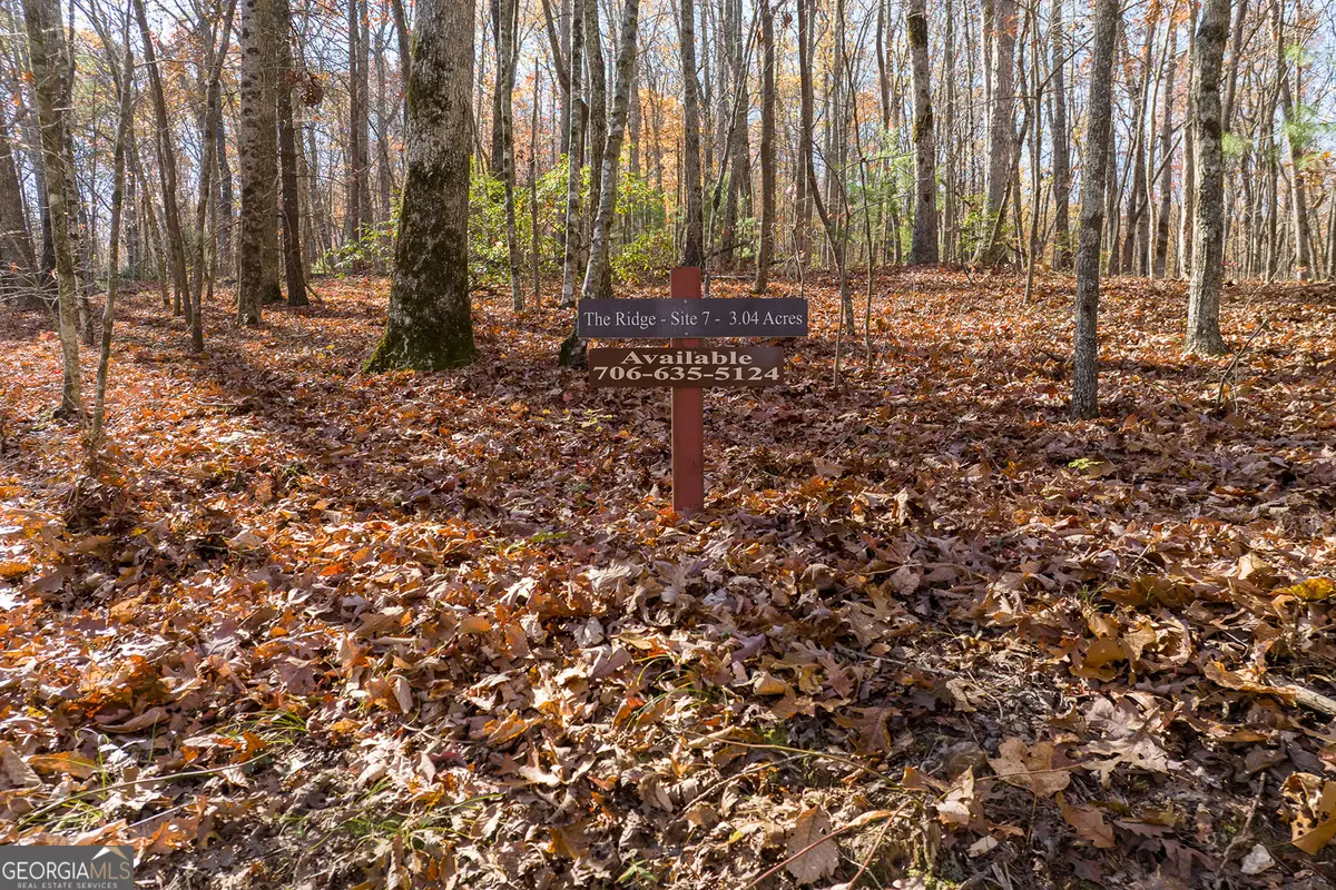 LOT 7 Joseph Anderson Trail, Ellijay, GA 30536 - Image #1