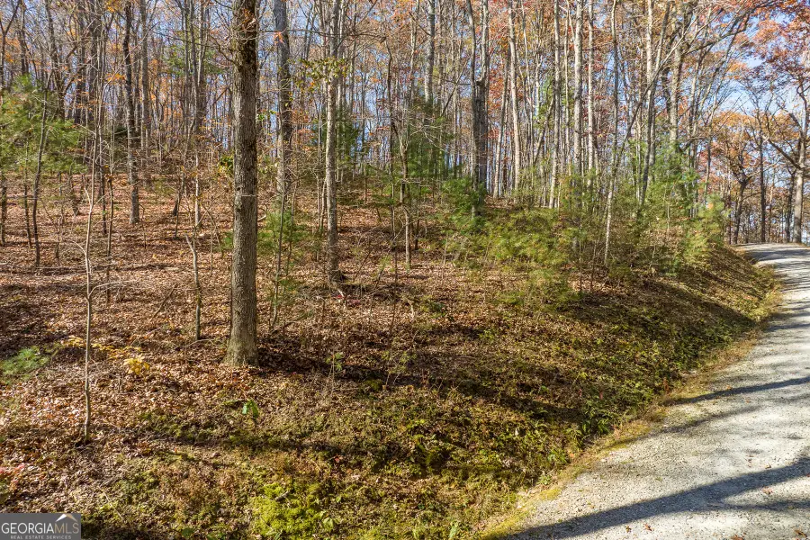 LOT 7 Joseph Anderson Trail, Ellijay, GA 30536 - Image #3