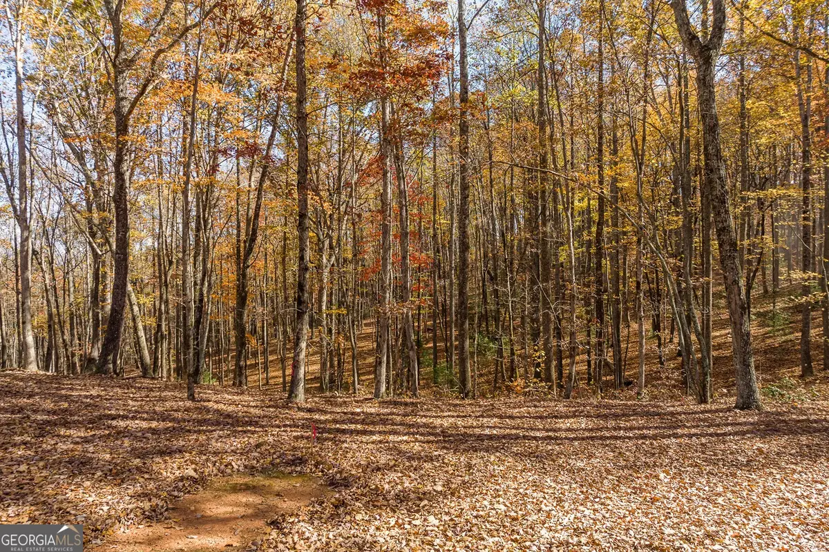 LT 17R Tanager Trail, Ellijay, GA 30536 - #1