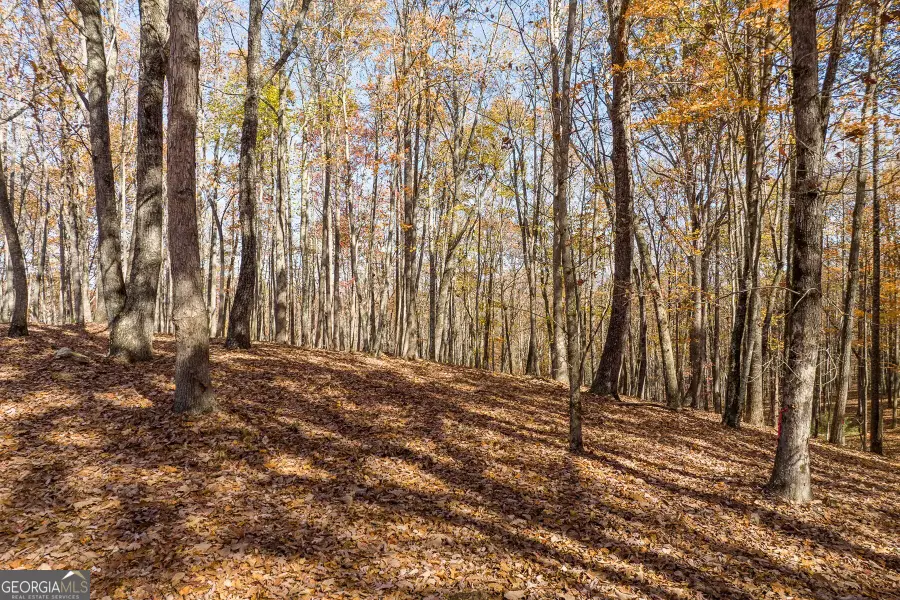 LT 17R Tanager Trail, Ellijay, GA 30536 - #2