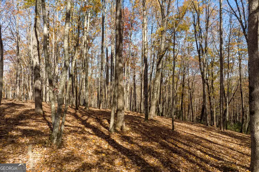 LT 17R Tanager Trail, Ellijay, GA 30536 - #3