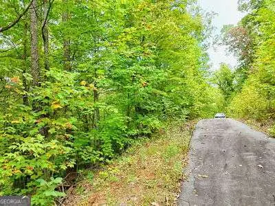 LOT 28 Skyview Drive, Hayesville, NC 28904 - Image #3