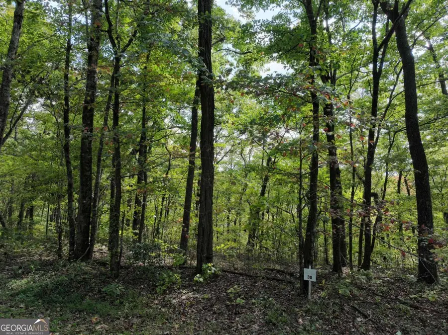 30 Andes Ridge, Jasper, GA 30143 - Image #2