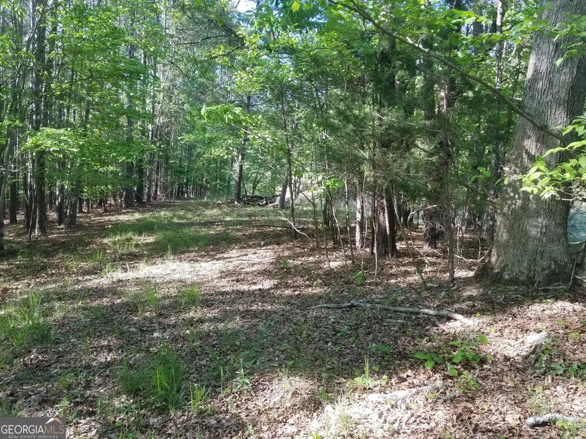 0 Browning Road, Rockmart, GA 30153 - Image #1