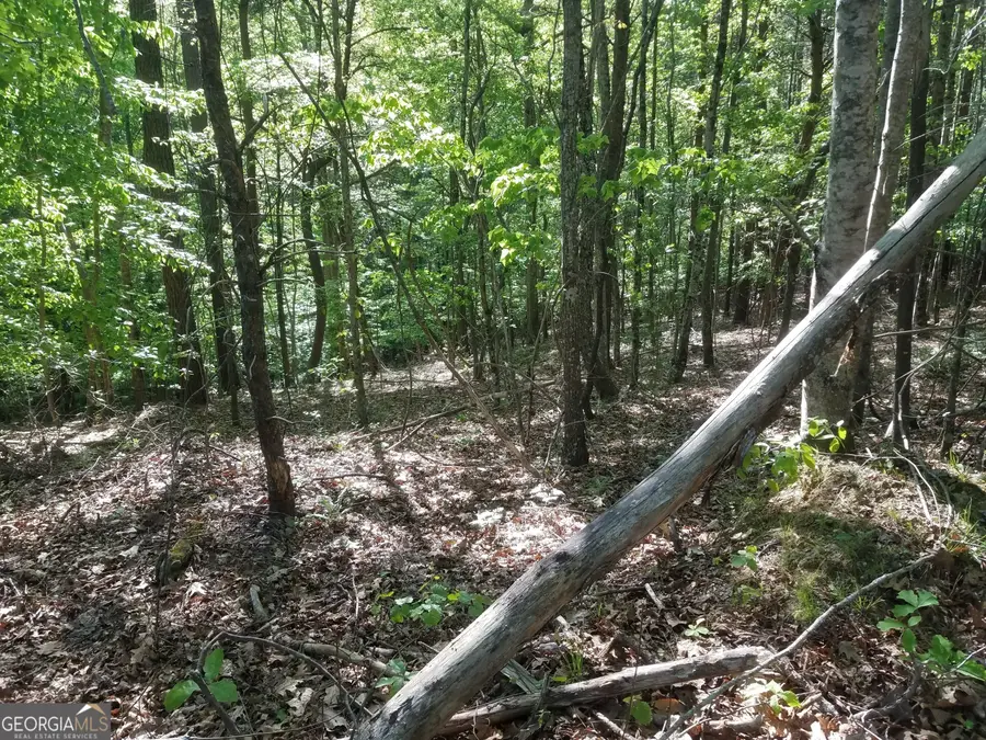 0 Browning Road, Rockmart, GA 30153 - Image #3