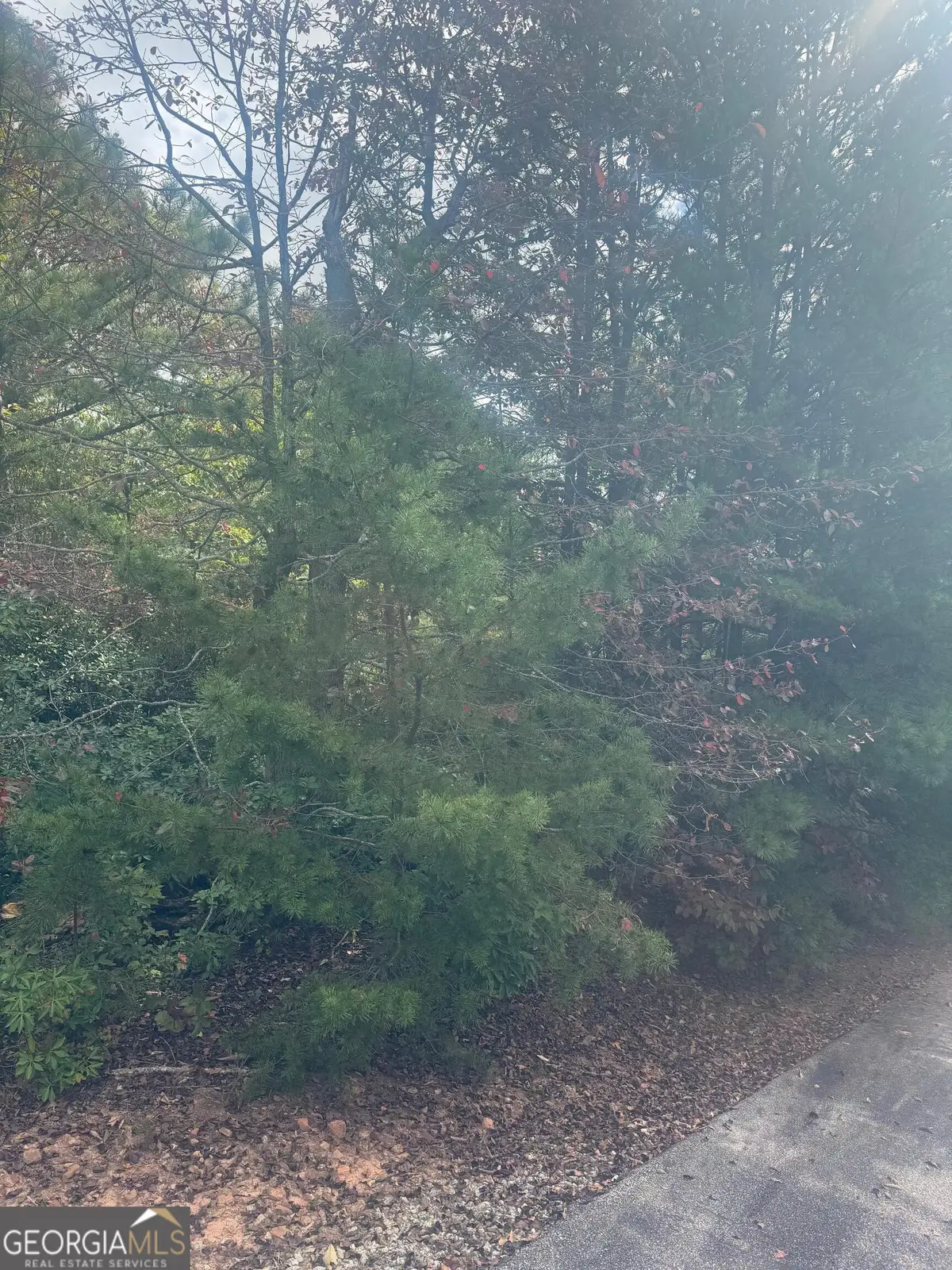 LOT 16 Brown Hawk Drive, Clayton, GA 30525 - Image #1