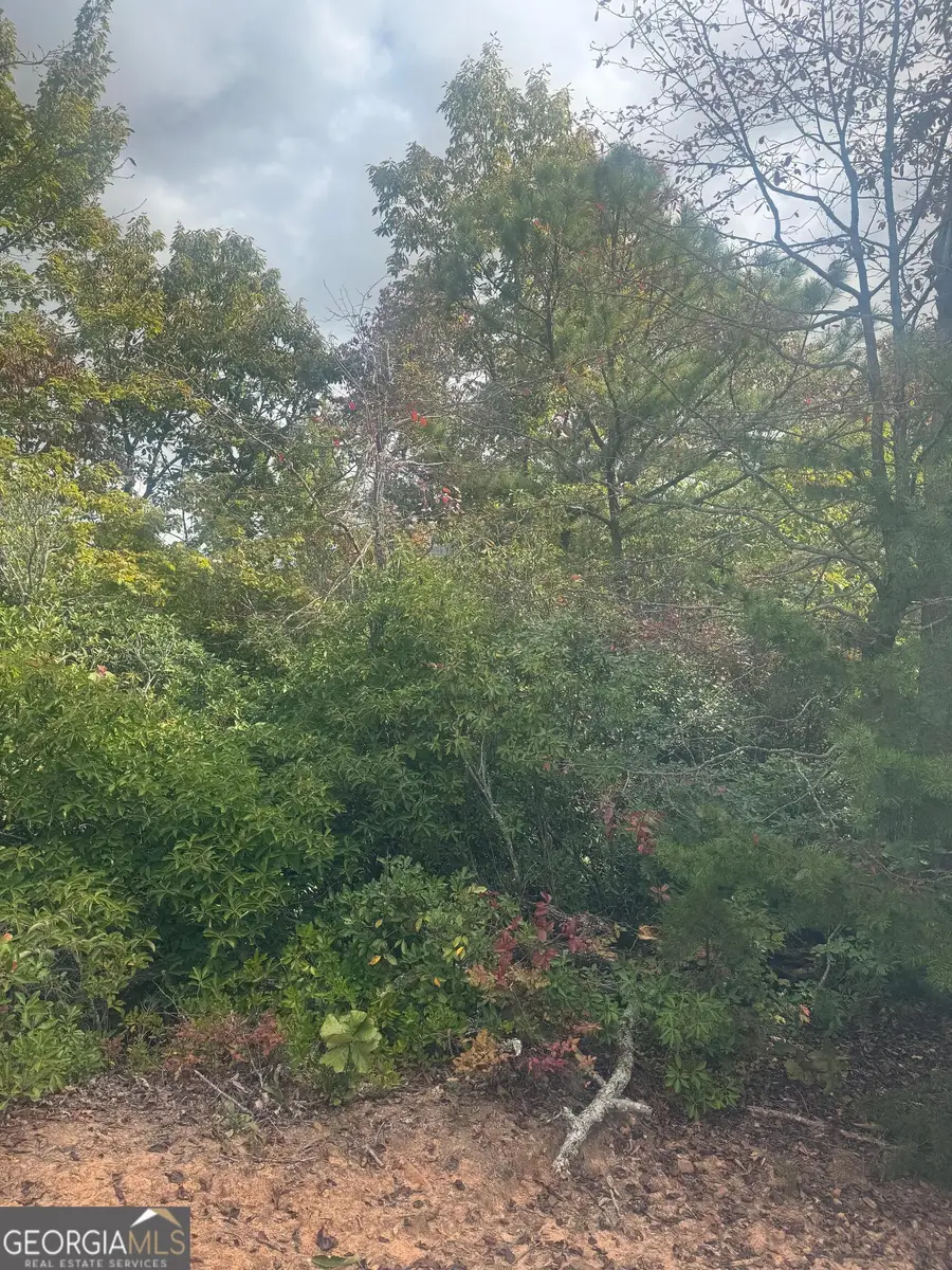 LOT 16 Brown Hawk Drive, Clayton, GA 30525 - Image #3