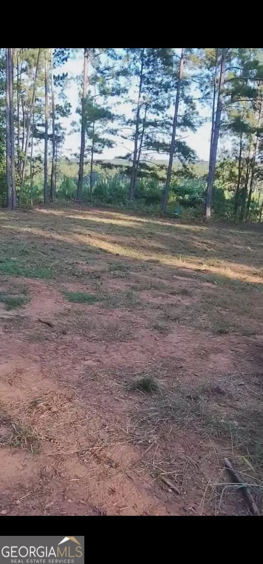 1538 Freeman Road, Forsyth, GA 31029 - Image #3