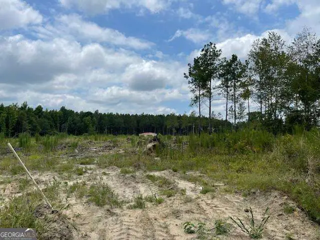 0 Gooch Road #LOT C, Eastman, GA 31023 - Image #1