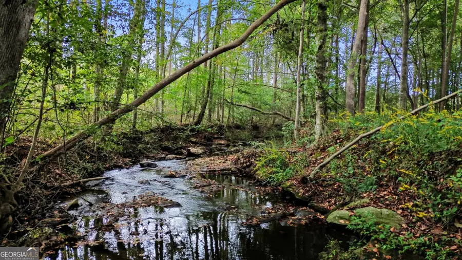 0 Deer Run Trail, Martin, GA 30557 - Image #2