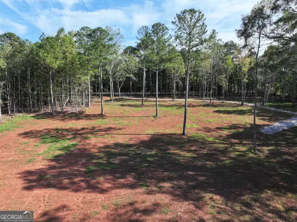 0 Reese Road, Rutledge, GA 30663