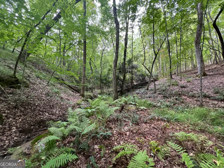 0 Vinson Mountain Road, Rockmart, GA 30153 - Image #3