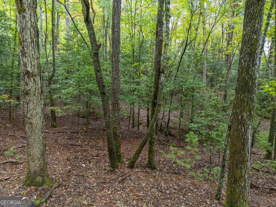 27 Honeysuckle Circle, Blairsville, GA 30512 - Image #3