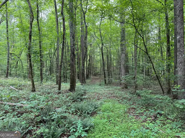 0 Brewsterfield Road, Cedartown, GA 30125