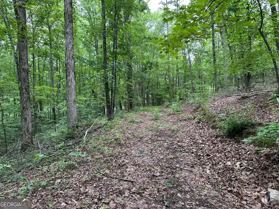0 Brewsterfield Road, Cedartown, GA 30125 - Image #3