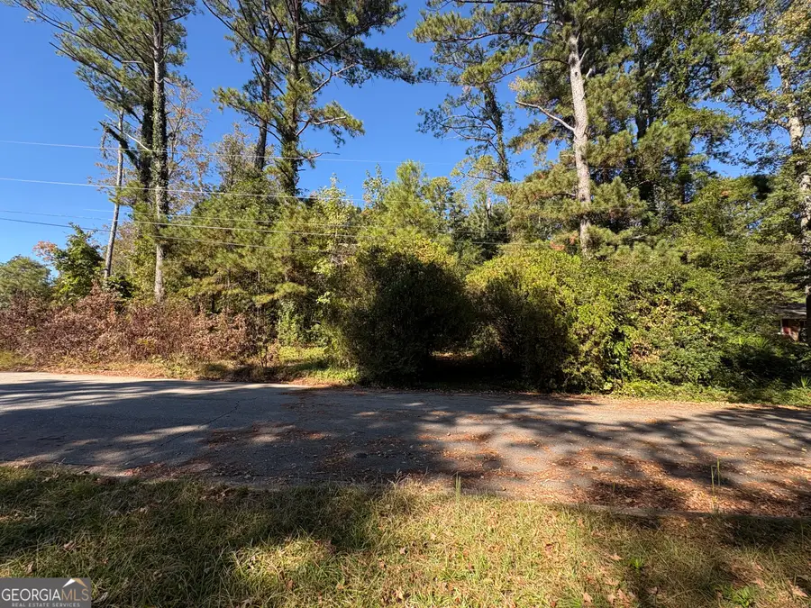 7215 Cane Leaf Drive, Fairburn, GA 30213 - Image #2