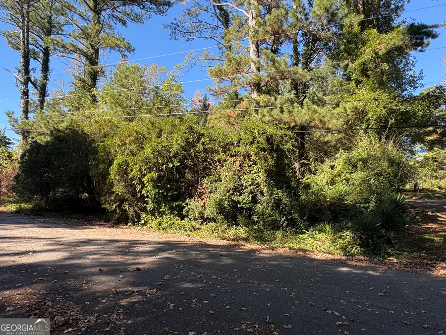 7215 Cane Leaf Drive, Fairburn, GA 30213 - Image #3