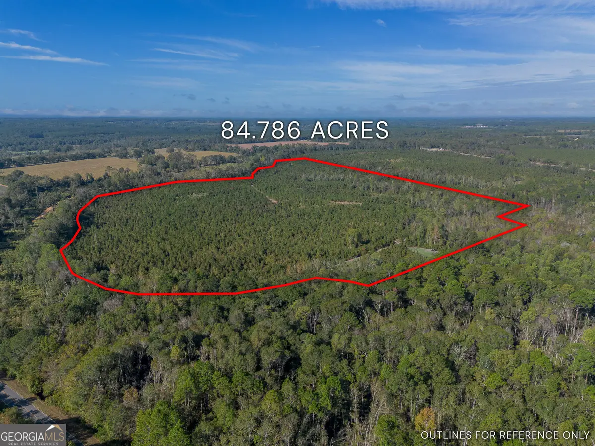 0 United Church Road, Jacksonville, GA 31544 - Image #1