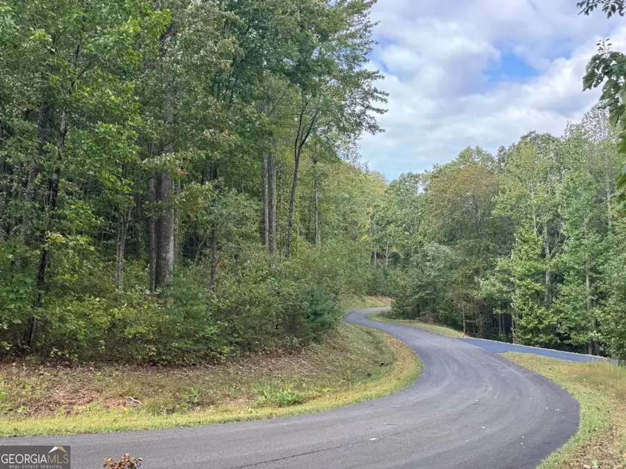 174 Trailwood #174, Ellijay, GA 30536 - Image #3