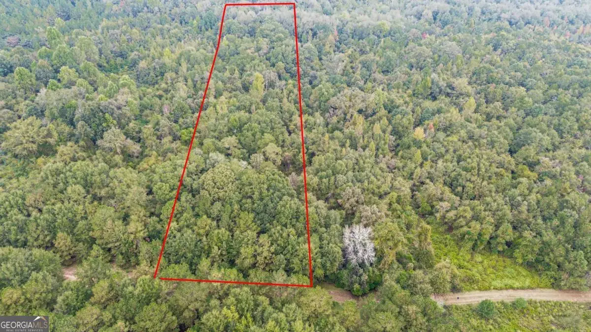 0 Willow Creek Drive, Oglethorpe, GA 31068 - #1