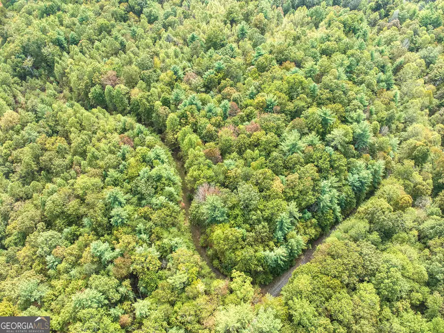 0 Hatley Creek Road, Ellijay, GA 30540 - Image #2