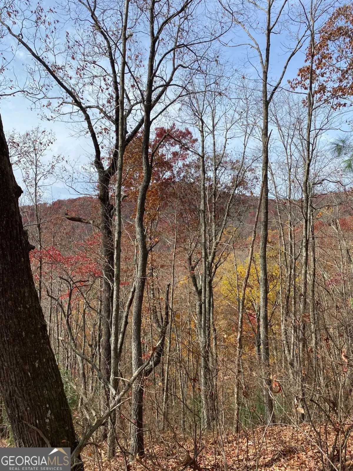 L334 335 Brushy Top Drive #334 335, Ellijay, GA 30540 - Image #1