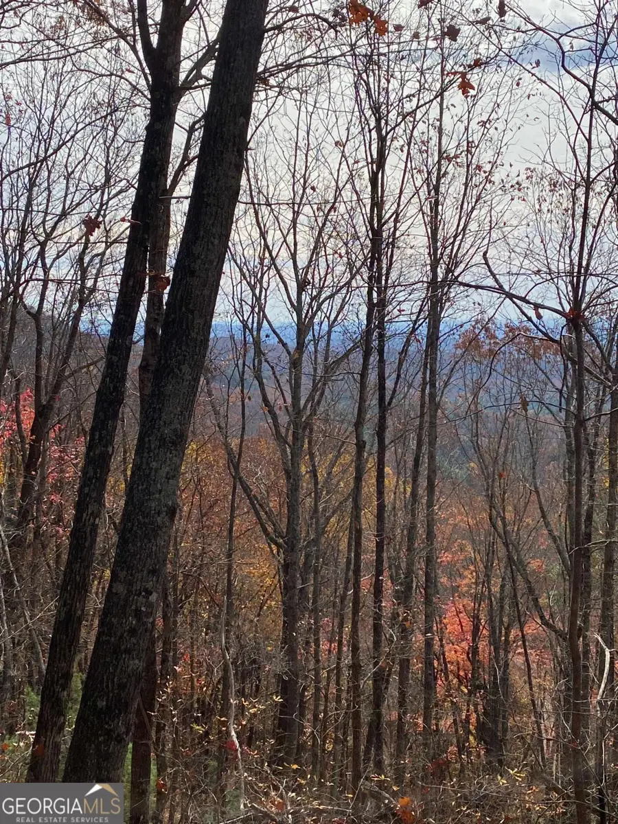 L334 335 Brushy Top Drive #334 335, Ellijay, GA 30540 - Image #2