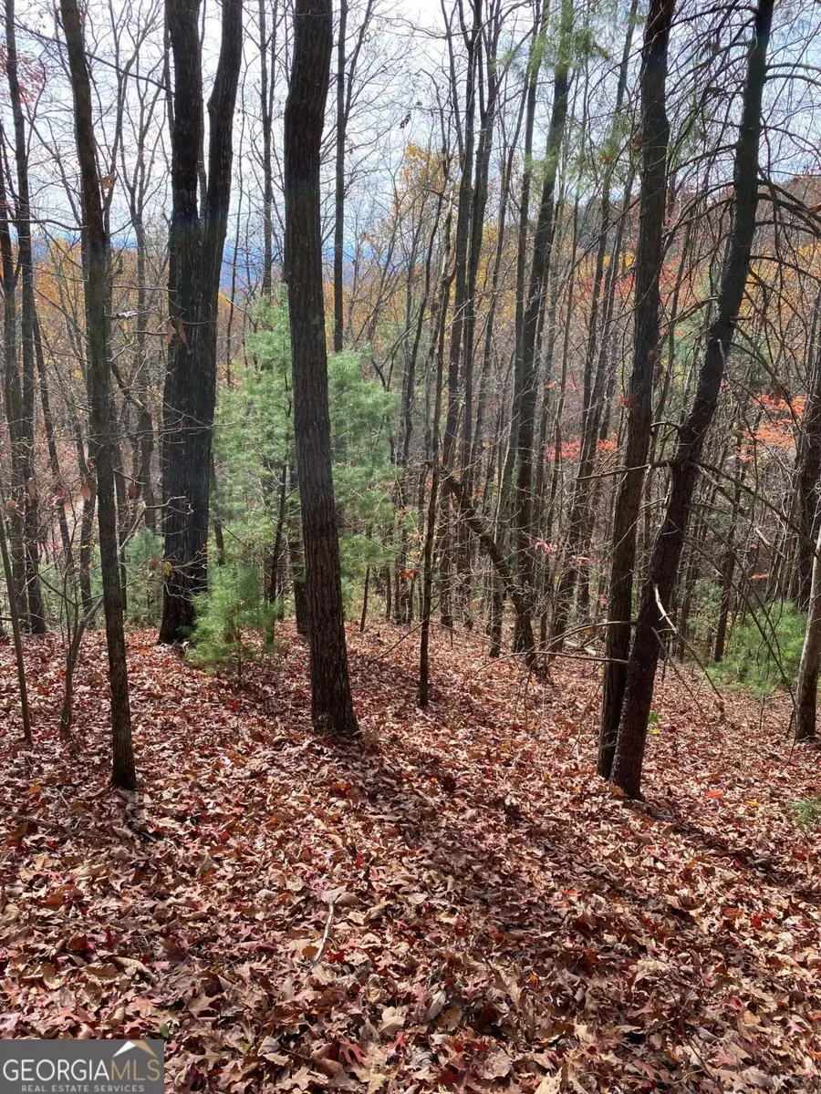 L334 335 Brushy Top Drive #334 335, Ellijay, GA 30540 - Image #3