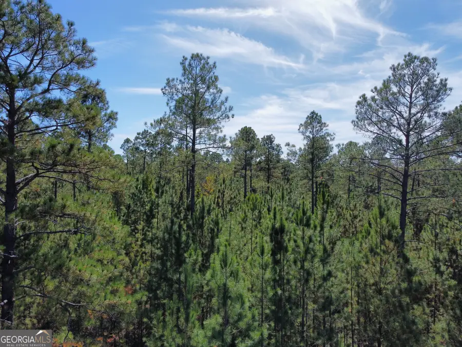 843 Daniel Mimbs Road, East Dublin, GA 31027 - Image #3