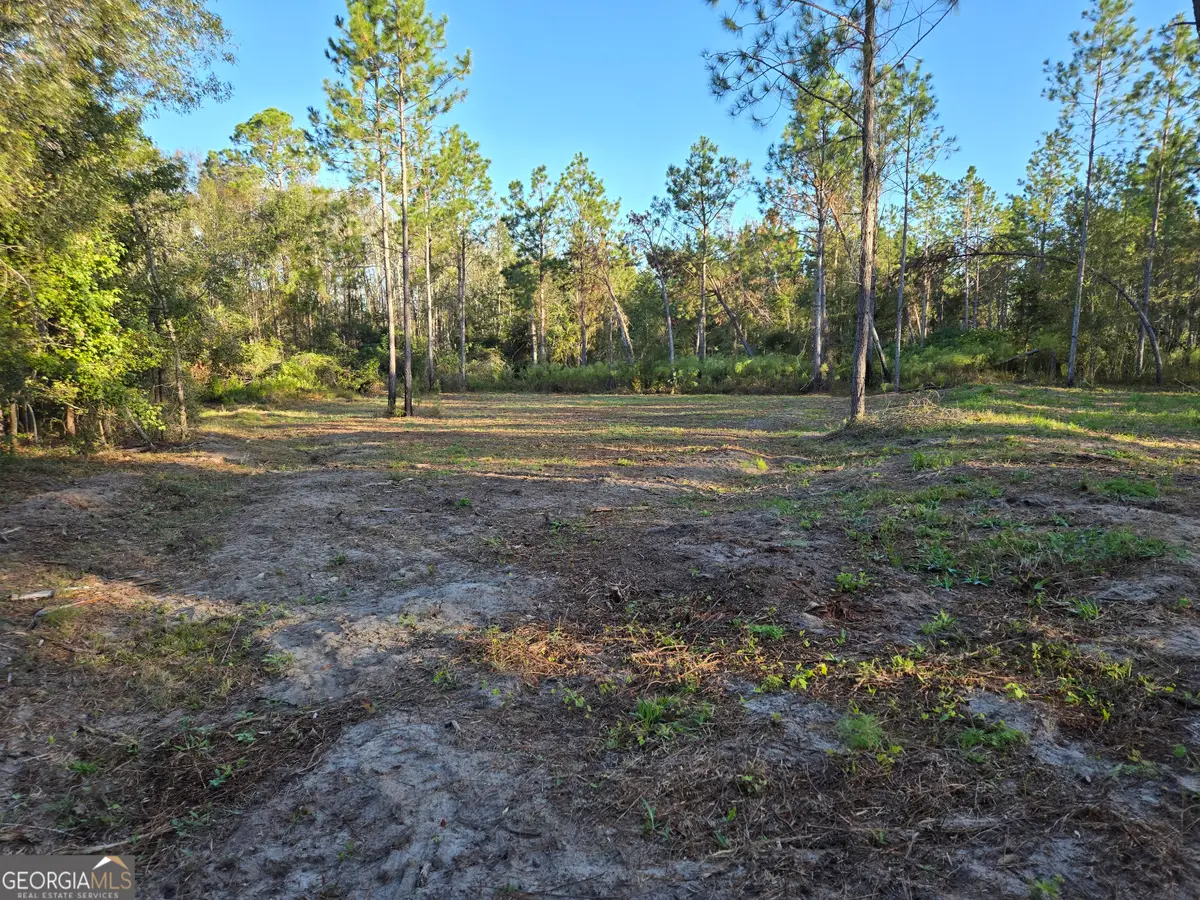 600 Alton Lawson Road, Adrian, GA 31002 - Image #1