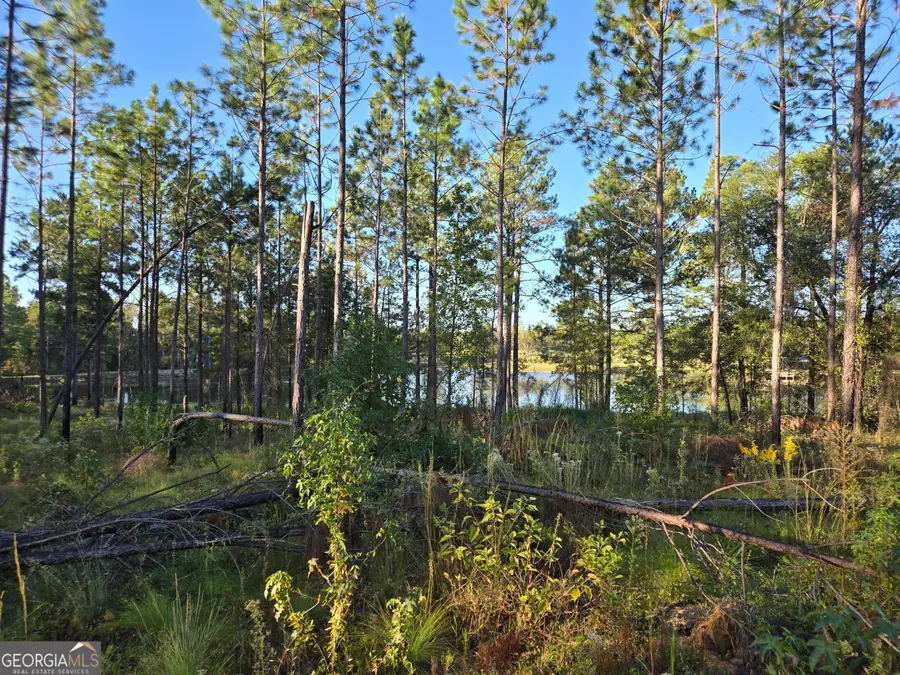 600 Alton Lawson Road, Adrian, GA 31002 - Image #2