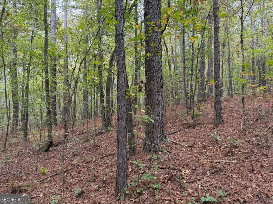 0 Colquitt Road, Cedartown, GA 30125 - Image #3