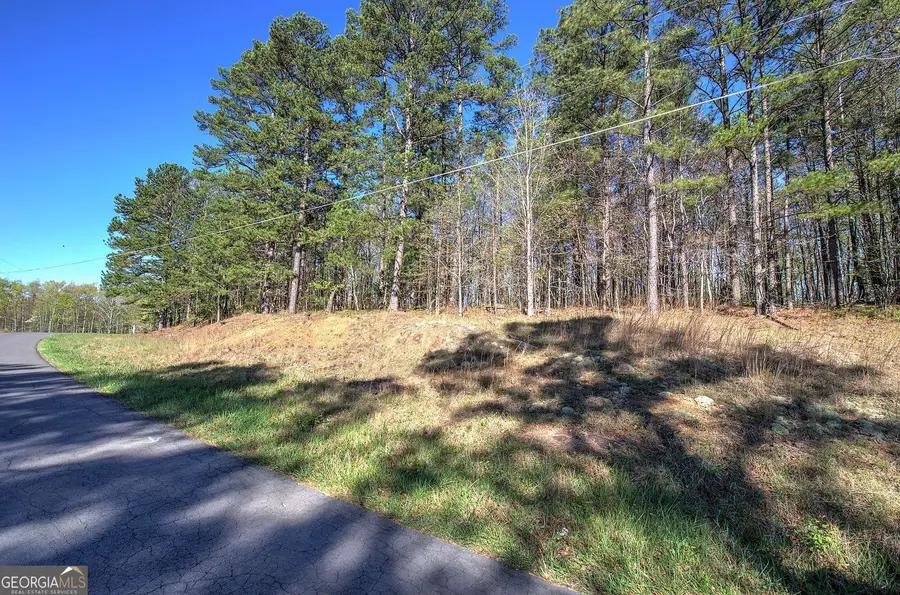 0 Mckibben Road, Buchanan, GA 30113 - Image #2