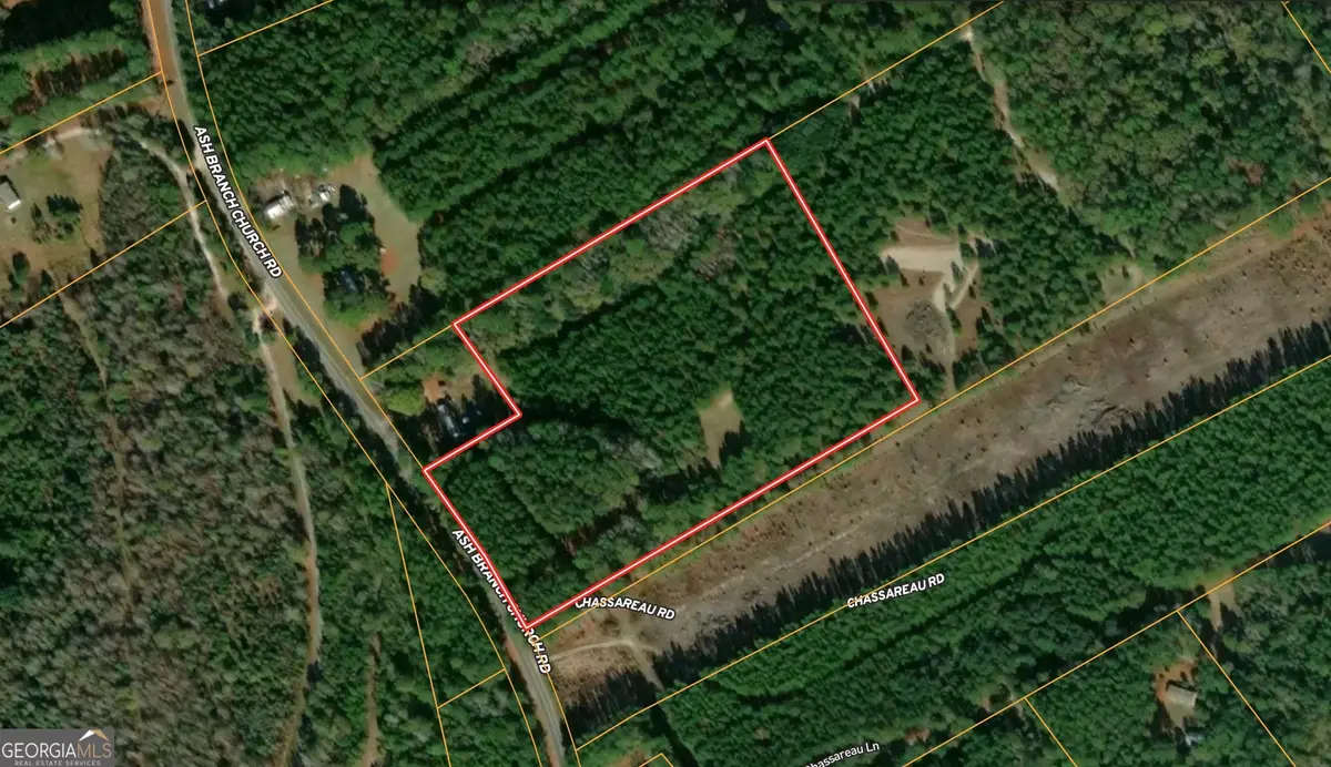 0 Ash Branch Church Road, Brooklet, GA 30415 - Image #1