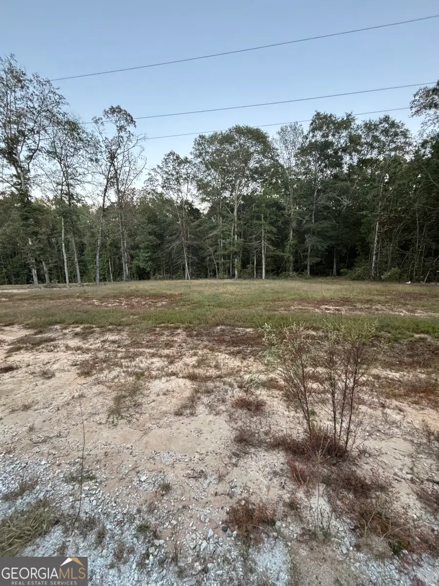 0 Sandy Brook Cir/spring Way, Thomaston, GA 30286 - Image #3