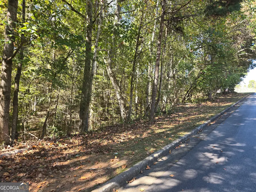 4215 Sandstone Shores Drive, Lithonia, GA 30038 - Image #3